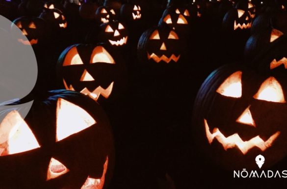 ¿Qué se celebra el día de Halloween_