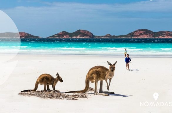 Curiosidades sobre Australia - 100 datos increibles