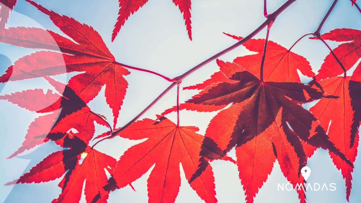 Mejores provincias de Canadá para estudiar