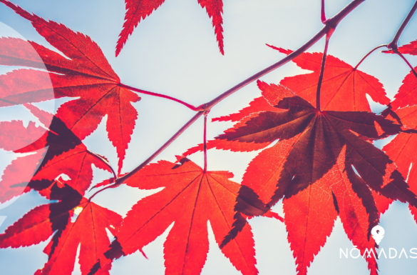 Mejores provincias de Canadá para estudiar