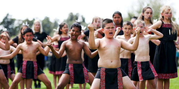 ¿Dónde se pueden ver las muestras culturales y artísticas de los maoríes?