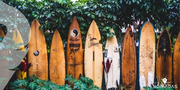 Historia del surf 