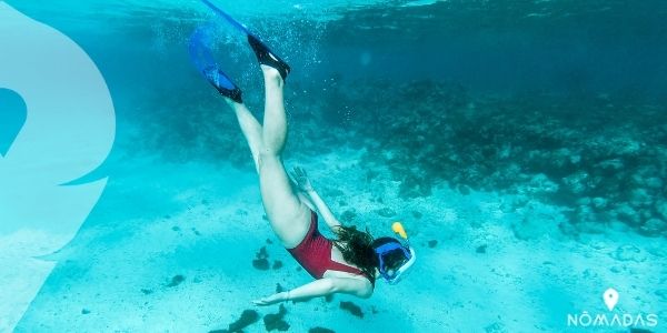 Consejos para hacer snorkel