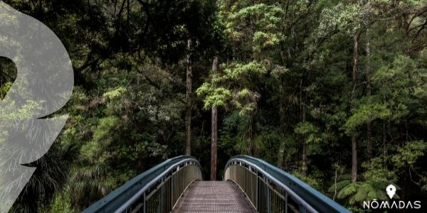 Principales ventajas de vivir y estudiar en Rotorua