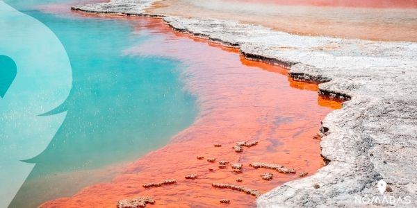 Información general que debes saber antes de vivir y estudiar en Rotorua