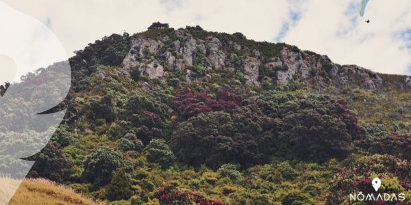 Lugares interesantes que debes conocer una vez que decides vivir y estudiar en Tauranga