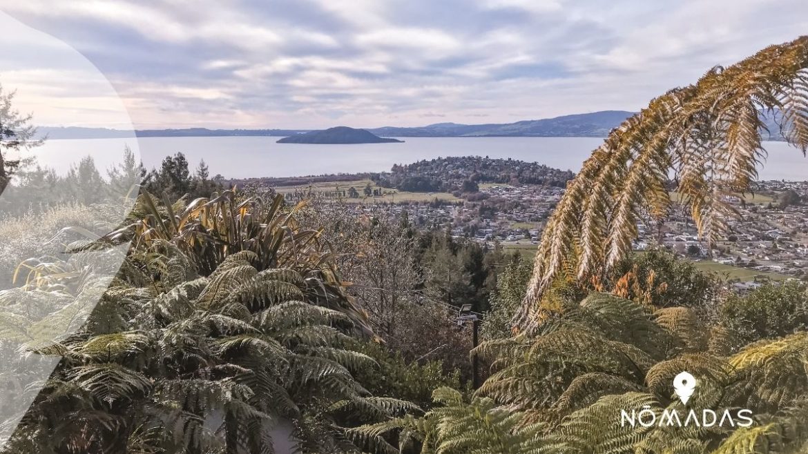 Vivir y estudiar en Rotorua