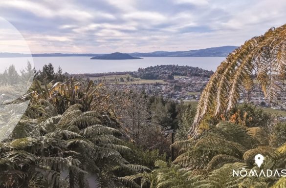 Vivir y estudiar en Rotorua