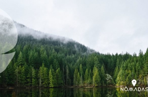 ¿Qué ver y hacer en Vancouver_