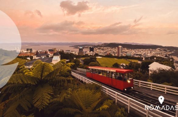 Vivir en Wellington