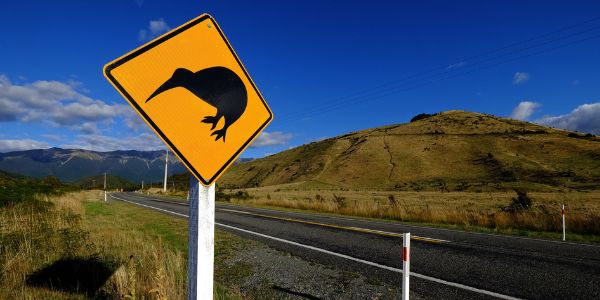 ¿Qué significa la palabra Kiwi en Nueva Zelanda?