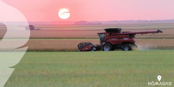 Una buena economía al vivir en Saskatchewan 