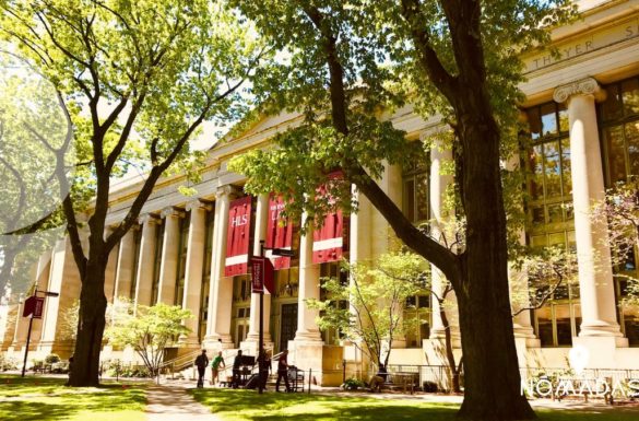 Harvard University