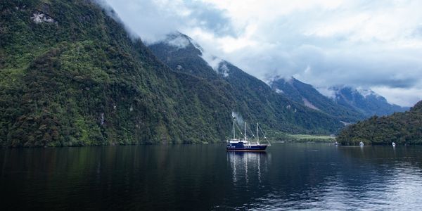 Navega el Doubtful Sound, el fiordo más profundo en Nueva Zelanda