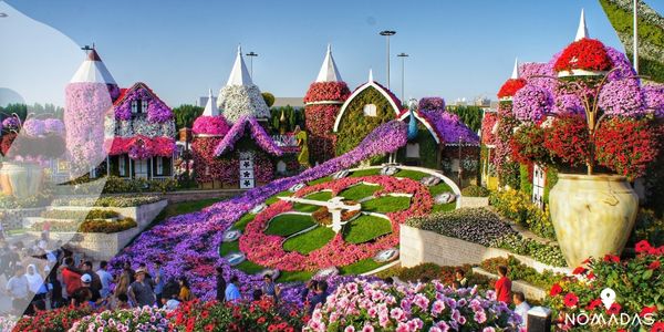 Dubái Miracle Garden