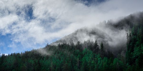 Haida Gwaii