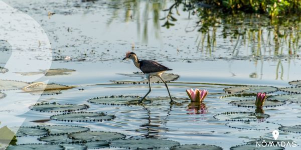 Parque Nacional de Kakadu