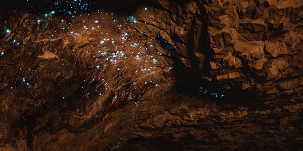 La Cuevas de Waitomo, una experiencia de miles de estrellas 