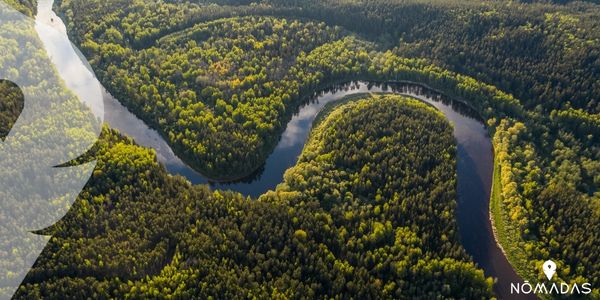 Selva Amazónica en varios países de Latinoamérica