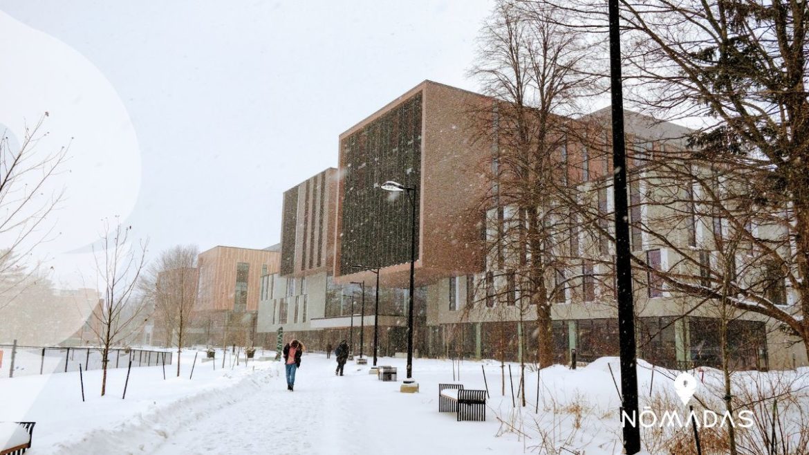 Vivir en Mississauga