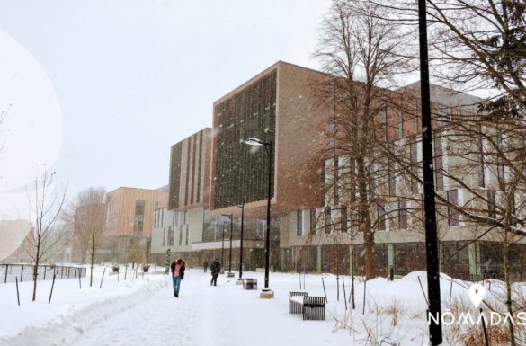 Vivir en Mississauga