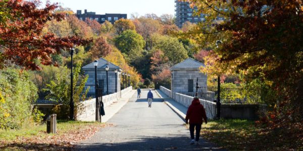 Parque Smither, un espacio urbano creativo lleno de color