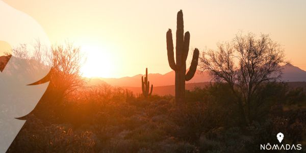 Días soleados en Phoenix