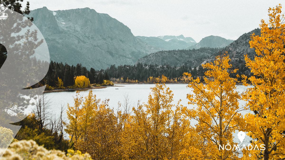 Qué ver en Portland 20 lugares que te encantaran Nomadas