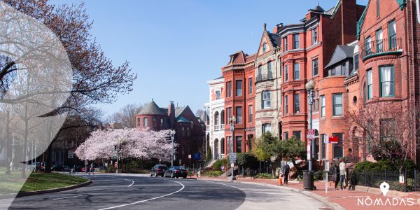 Algunas desventajas de la vida en Washington DC 