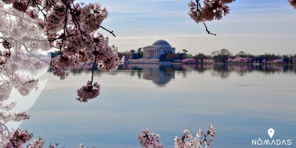 Algunas ventajas de vivir en Washington DC